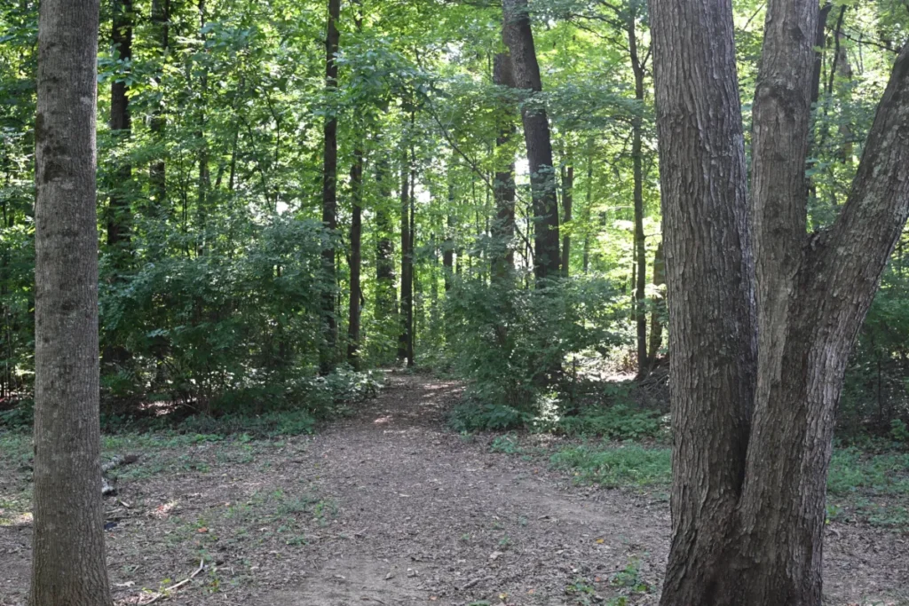 Wooded natural-surface shortcut between The Cove at Turkey Creek and Woodland Trace in Farragut, TN