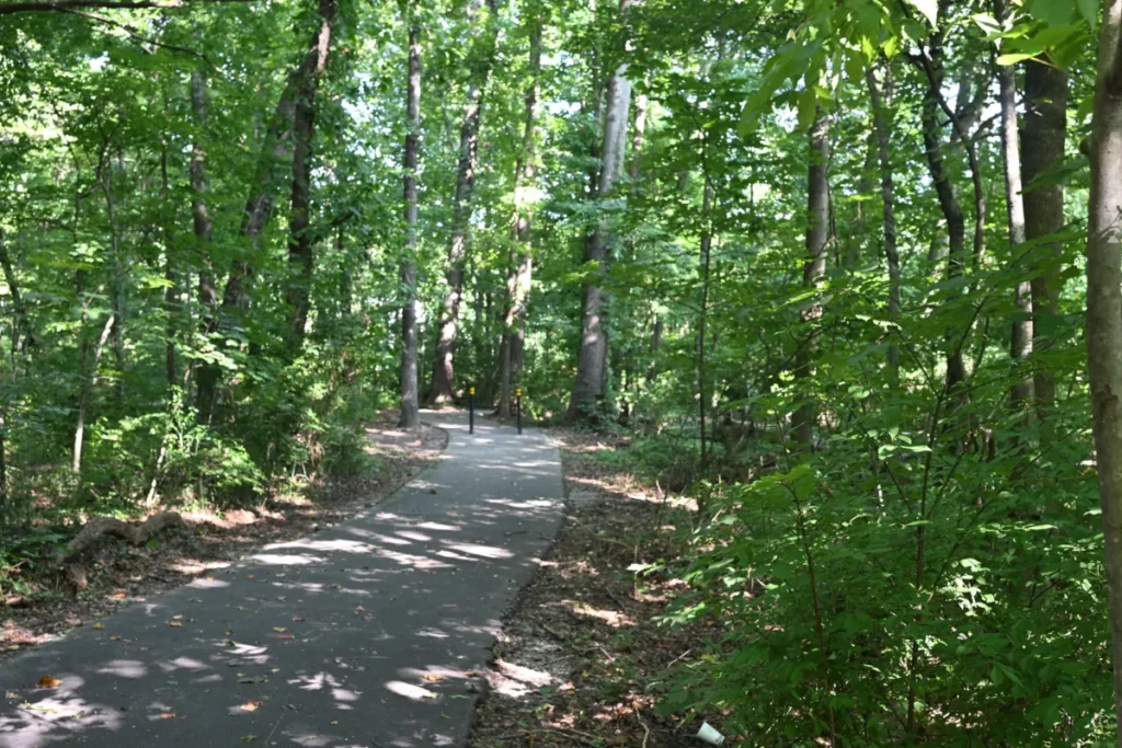 Wooded paved greenway connector trail in Central Farragut, Tennessee