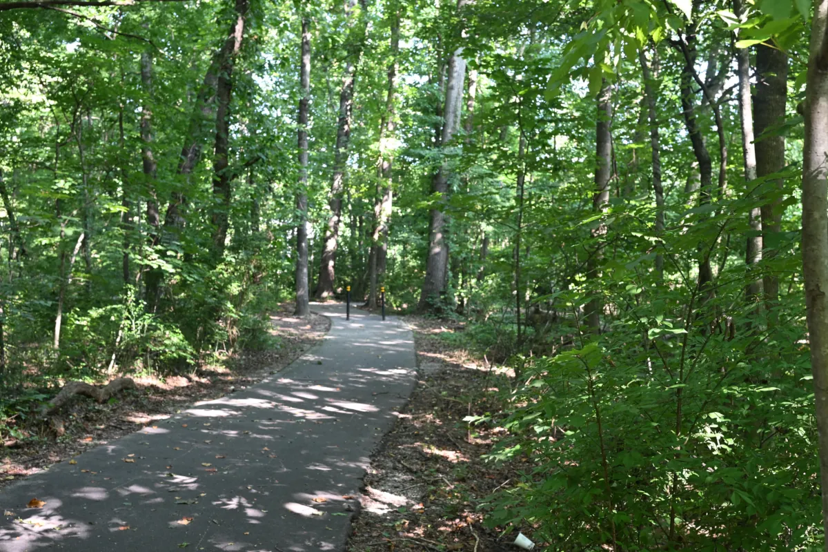 Wooded paved greenway connector trail in Central Farragut, Tennessee