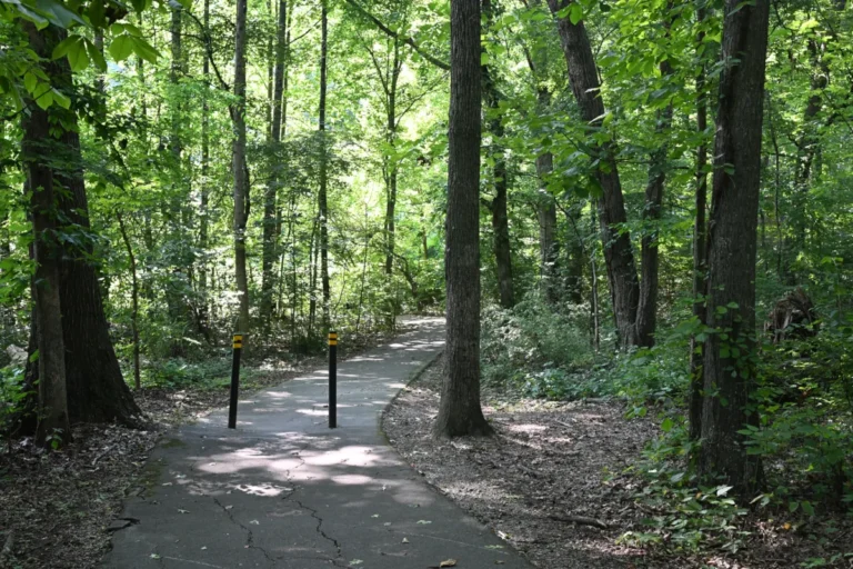 Paved Farragut, TN greenway trail winding through a wooded neighborhood connector
