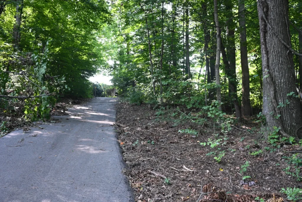 Steep paved connector climbing through the woods from Fords Cove Lane toward Farragut View in Farragut, Tennessee